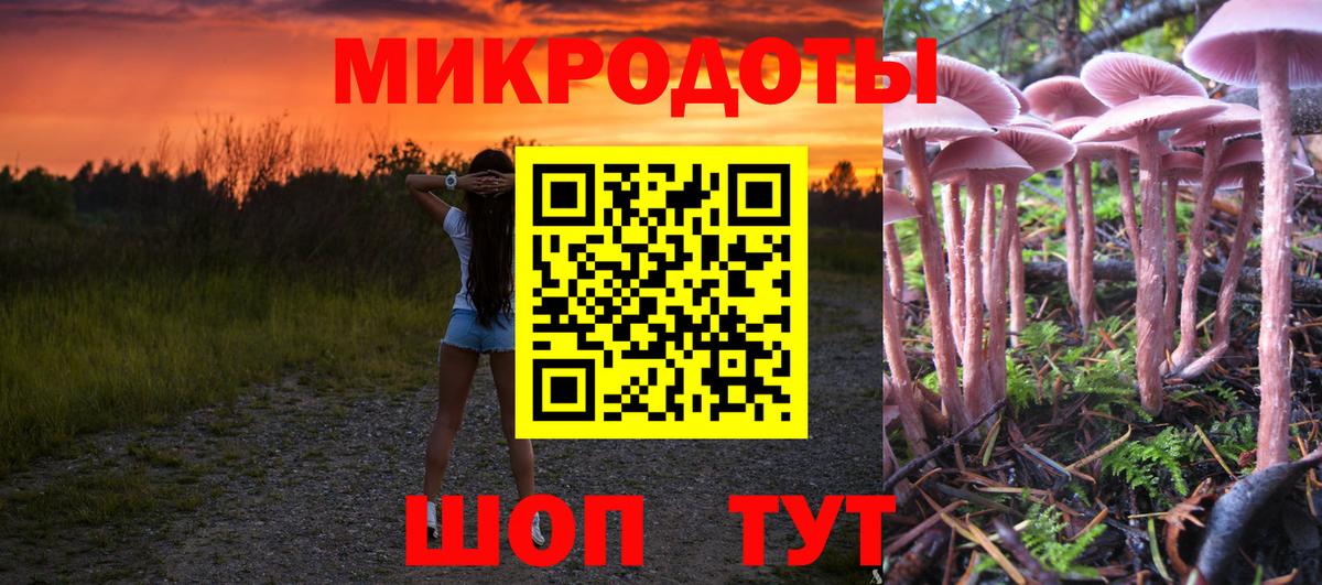 купить наркоту  Вход с VPN  Ахтубинск  Галлюциногенные грибы мухоморы 